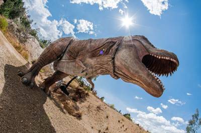 Ученым удалось восстановить походку тираннозавра