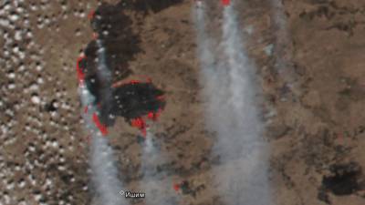Гринпис сообщает, что в Тюменской области выявлен самый большой пожар в России