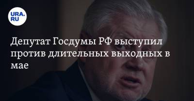 Депутат Госдумы РФ выступил против длительных выходных в мае