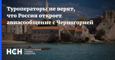 Майя Ломидзе - Туроператоры не верят, что Россия откроет авиасообщение с Черногорией - nsn.fm - Египет - Черногория