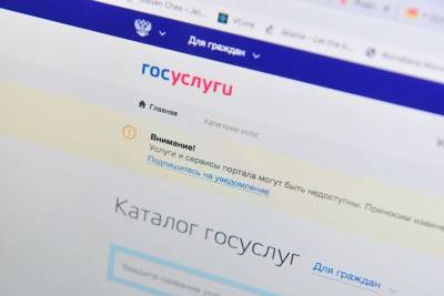 Минтранс РФ планирует продавать субсидируемые авиабилеты через Госуслуги - vm.ru