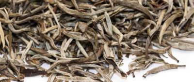 Серебряные иглы – знаменитый чай из категории императорских