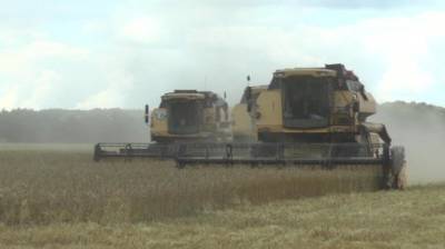 В регионе посев зерновых планируют завершить к середине мая