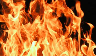 В Новосибирской области зарегистрировали рекордное число ландшафтных пожаров