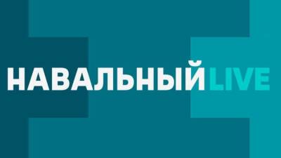 Журналисты обратили внимание на потерю интереса аудитории к митингам и "Навальный LIVE"