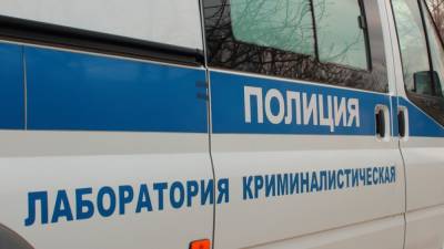 Житель Кемеровской области во время прогулки с собакой наткнулся на расчлененное тело