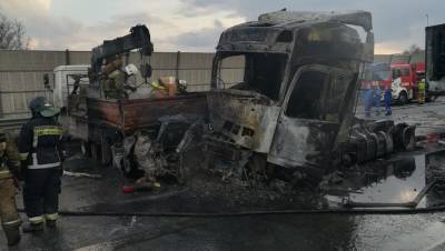 "Сгорели заживо": два человека погибли в огненном ДТП с фурами на КАД
