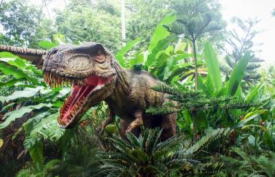 Женщина уверена, что к ней во двор забегал динозавр