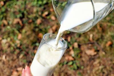 Во Владимирской области была выявлена поставка восьми тонн просроченной молочной продукции