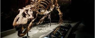 Палеонтологи воссоздали походку тираннозавра