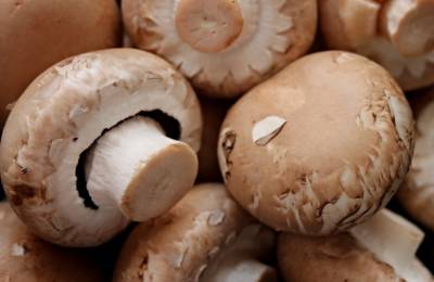 Ученые: Ежедневное употребление грибов снижает риск возникновения рака