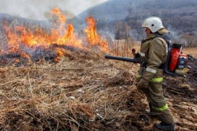 Шесть лесных пожаров действуют в Забайкалье, 19 потушено