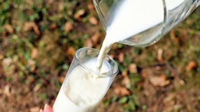 В Петербурге семь из десяти образцов пастеризованного молока не соответствуют ГОСТу