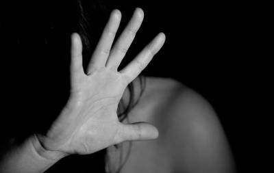 Ужесточённый закон о домашнем насилии внесут в Госдуму в ближайшие месяцы