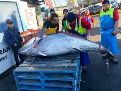 Рыбакам удалось поймать морское "чудище" весом в 271 килограмм