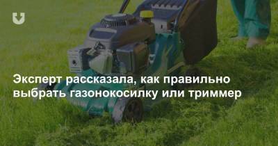 Эксперт рассказала, как правильно выбрать газонокосилку или триммер