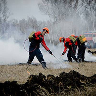 Лесопожарные службы России за сутки потушили 138 природных пожаров