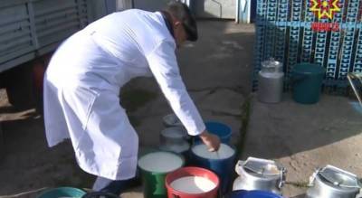 Снижение закупочных цен на молоко ударило по жителям семи районов Чувашии