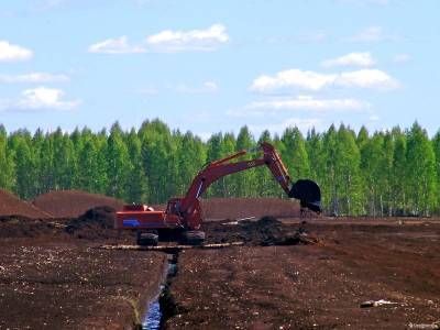 В Смоленской области собираются разрабатывать несколько торфяных месторождений