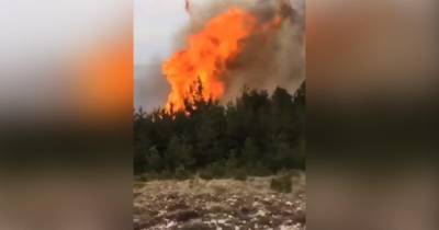 В Дагестане выгорел знаменитый Усишинский лес