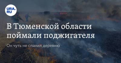 В Тюменской области поймали поджигателя. Он чуть не спалил деревню