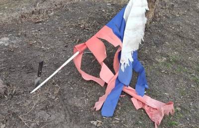 Тамбовские подростки осквернили российский флаг на Набережной
