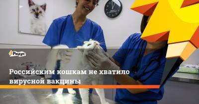 Российским кошкам не хватило вирусной вакцины