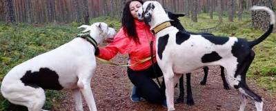 Жительница Пскова нашла новый дом 18 собакам-инвалидам и отказникам