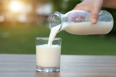 Больше половины молока на прилавках Петербурга изготовлено не по ГОСТу