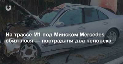 На трассе М1 под Минском Mercedes сбил лося — пострадали два человека