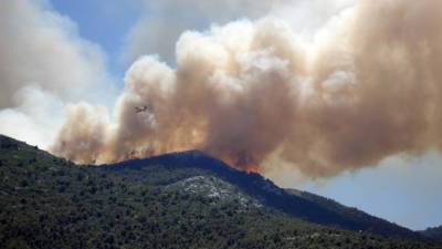 Дым от лесных пожаров провоцирует заболевания кожи