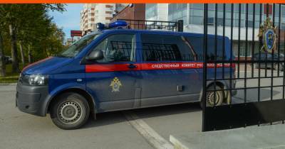 Полицейские поймали извращенца из Рязани, который рассылал интимные фото девочкам из Екатеринбурга