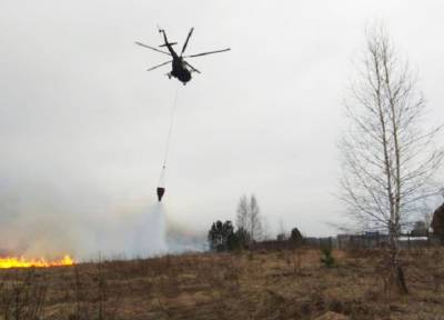 Житель Новосибирска поджег траву на участке и тем самым уничтожил 63 дачи