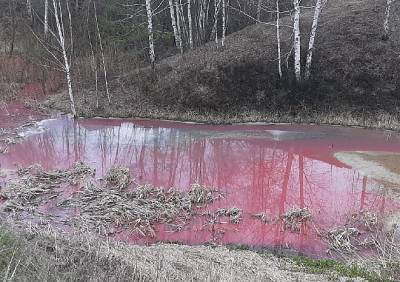В Минприроды прокомментировали сообщения об окрашивании реки в розовый цвет