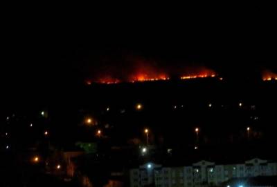 За сутки в Тюменской области пожары уничтожили более 20 тыс. гектаров территории