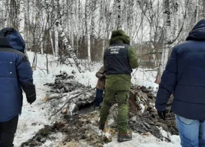 Тело брошенной мамой-наркоманкой 6-летней девочки нашли в лесу Красноярского края