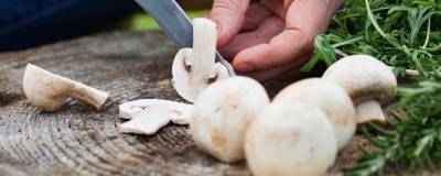 Ученые сообщили о пользе грибов для профилактики рака