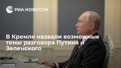 В Кремле назвали возможные темы разговора Путина и Зеленского