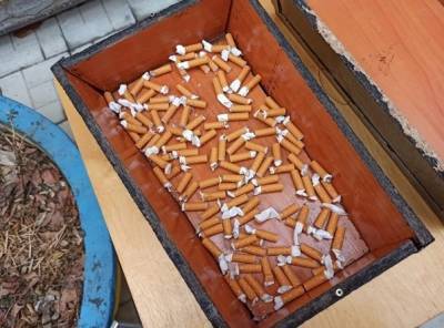 Студенты Екатеринбурга устроили «похороны» фильтров от сигарет
