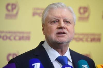 Справороссы опровергли информацию о смене лидера партии