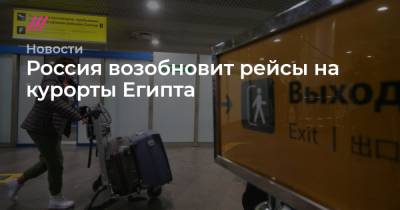 Россия возобновит рейсы на курорты Египта