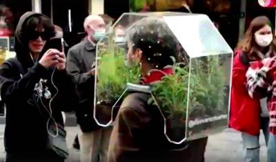 Видео дня: бельгиец защитился от ковида с помощью оранжереи на голове