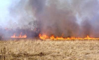 В Тюменской области за сутки пожары уничтожили 20 тысяч гектаров лесов и полей
