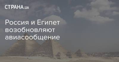 Россия и Египет возобновляют авиасообщение