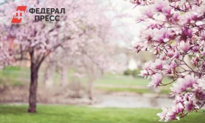 В Волгоградской области сняли запреты на массовые мероприятия на майские праздники