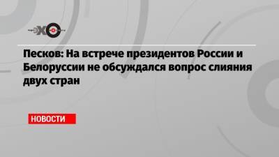 Песков: На встрече президентов России и Белоруссии не обсуждался вопрос слияния двух стран