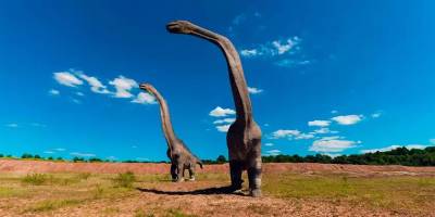 Чилийские ученые нашли останки нового вида травоядных динозавров