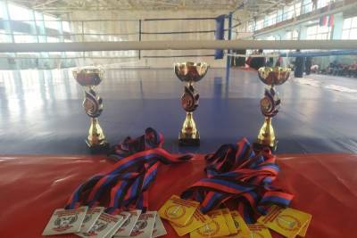 Студенты ДонНАСА стали чемпионами по боксу среди вузов ДНР
