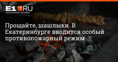 Прощайте, шашлыки. В Екатеринбурге вводится особый противопожарный режим