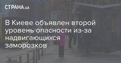 В Киеве объявлен второй уровень опасности из-за надвигающихся заморозков